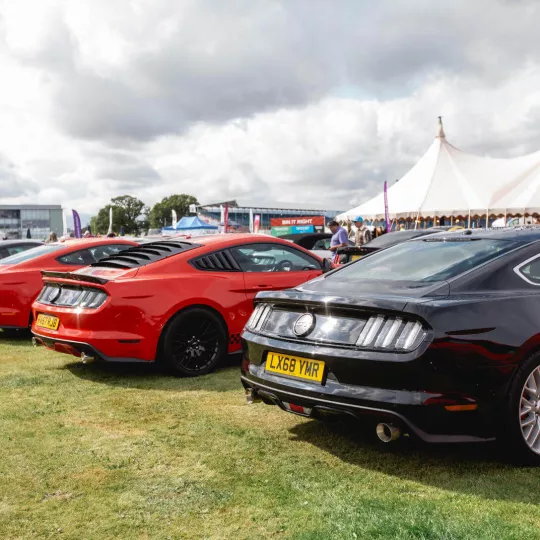 cars from the rear