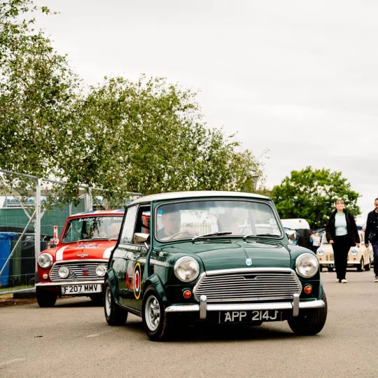 mini drives around the paddock