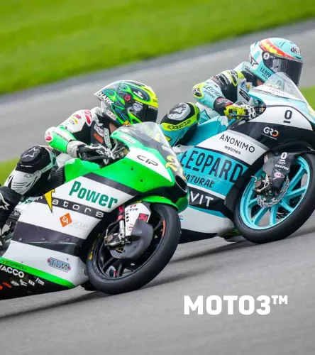 MOTO3